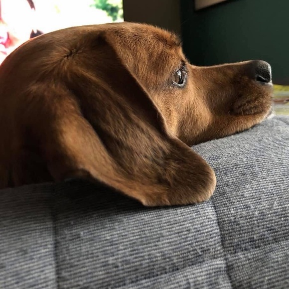 @KellyncBlue LIVE SHOW FLYER & ANNOUNCEMENT - Picture 6 of 13